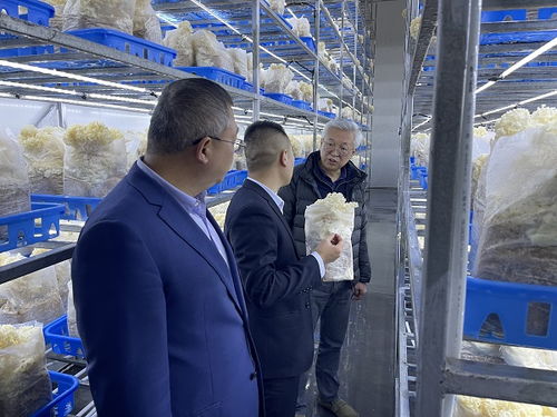 赵卫深入商洛开展企业管理咨询调研，助力区域经济发展